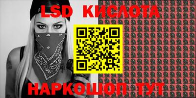 шишки Камышлов