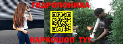 шишки Камышлов