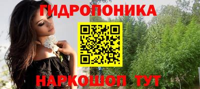 шишки Камышлов