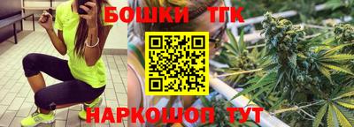 шишки Камышлов